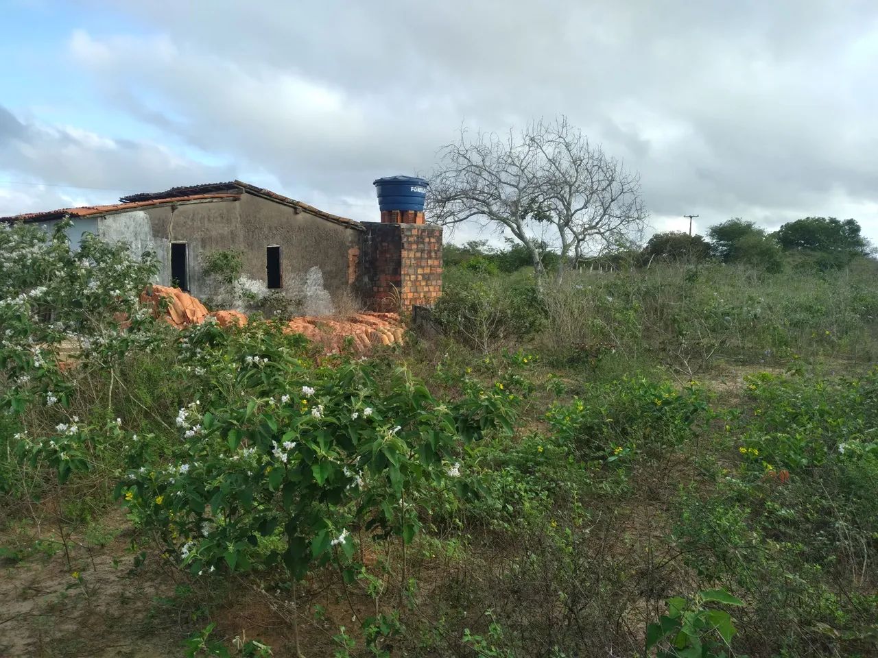 Vendo Sitio... - Foto 2