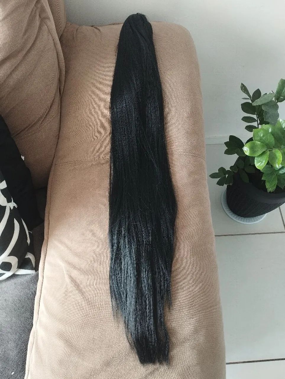 Rabo de cavalo preto 