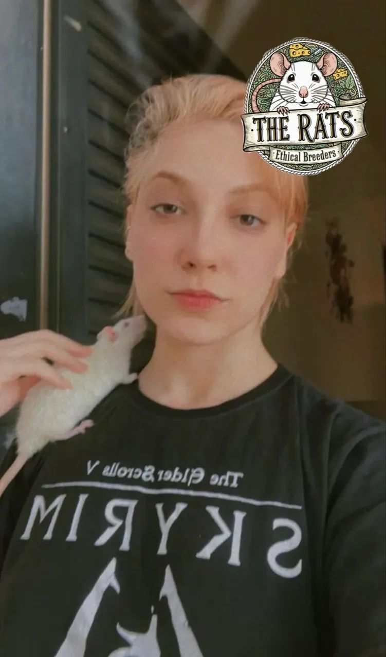 Rato twister pet roedor estimação  - Foto 5