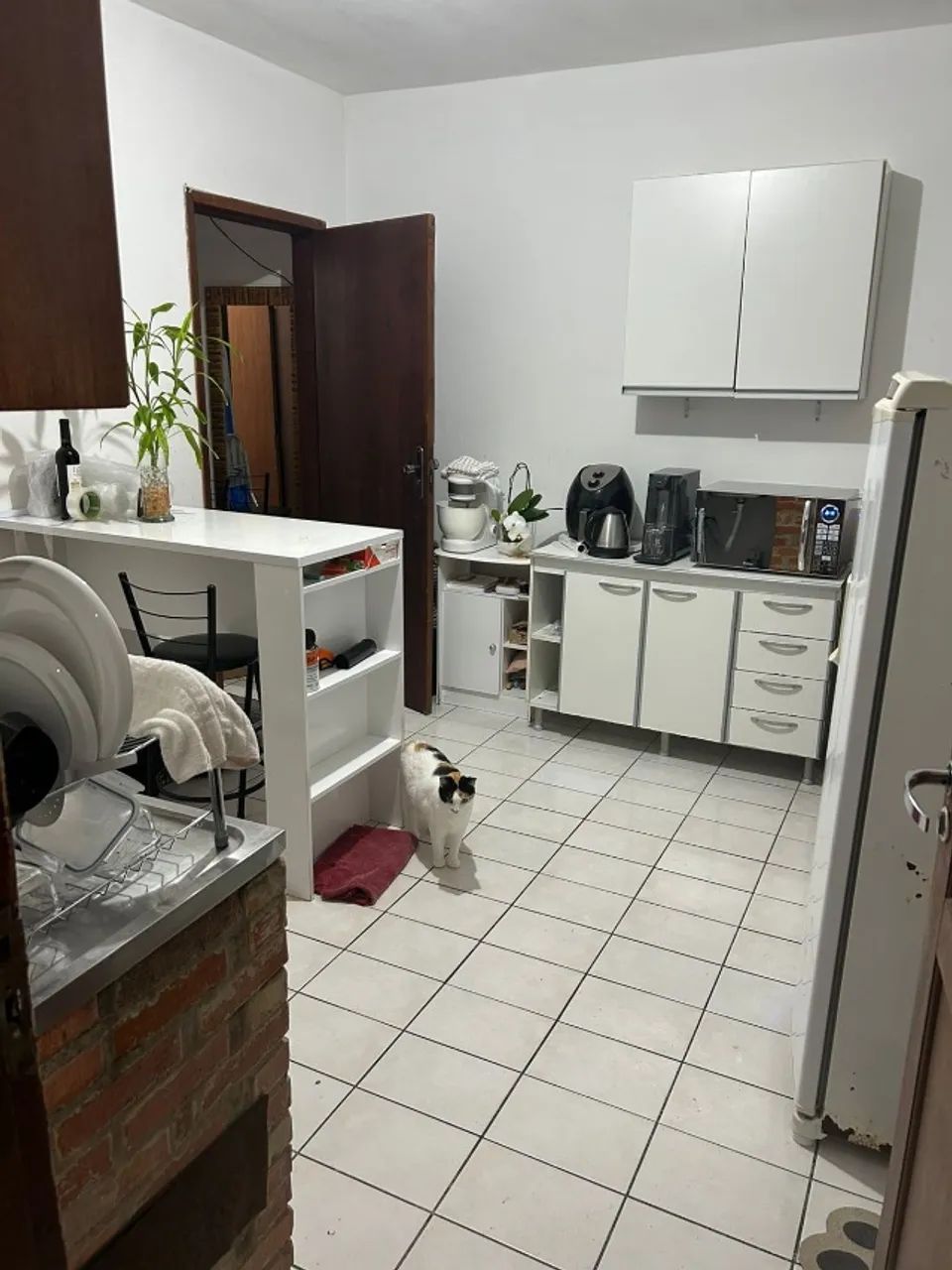 Foto - Florianópolis - Agronômica