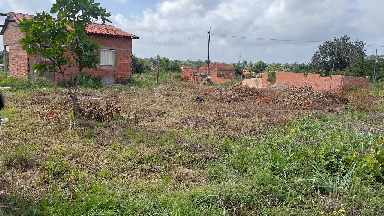 Vendo terreno na vila nova república  - Foto 2