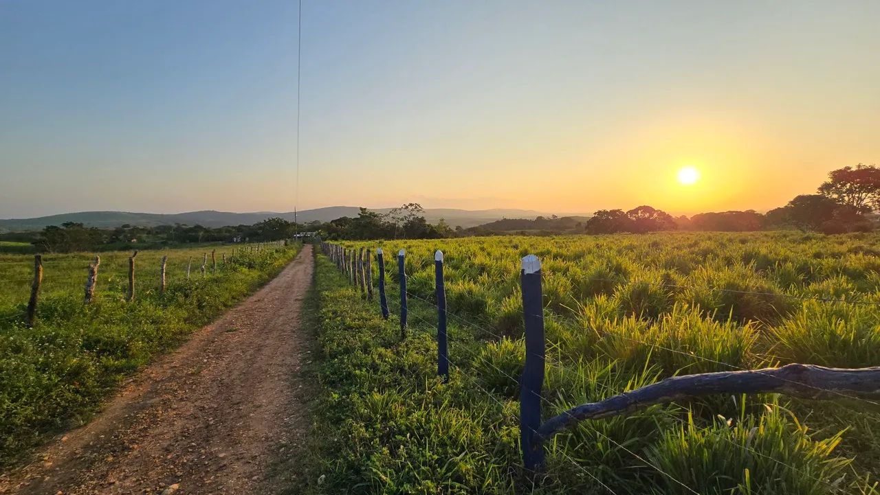 Vendo ou Troco Sítio Com 18.6 Tarefas em São Domingos  - Foto 3