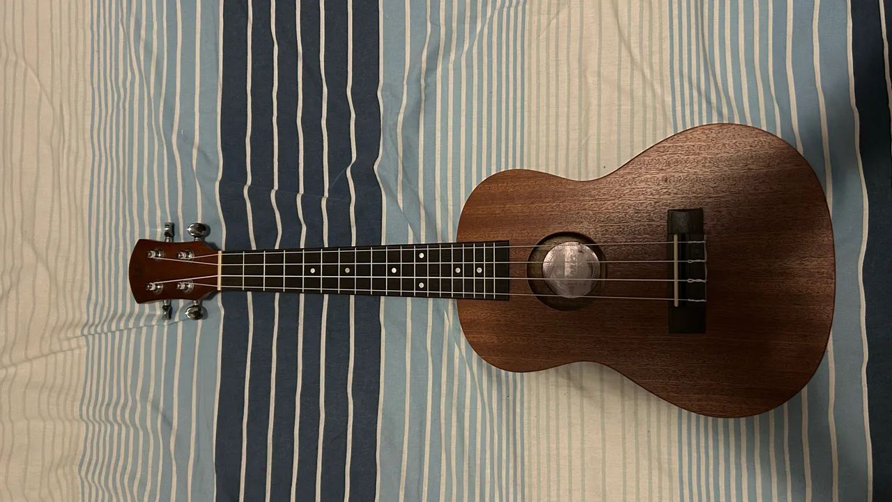 Ukulele 