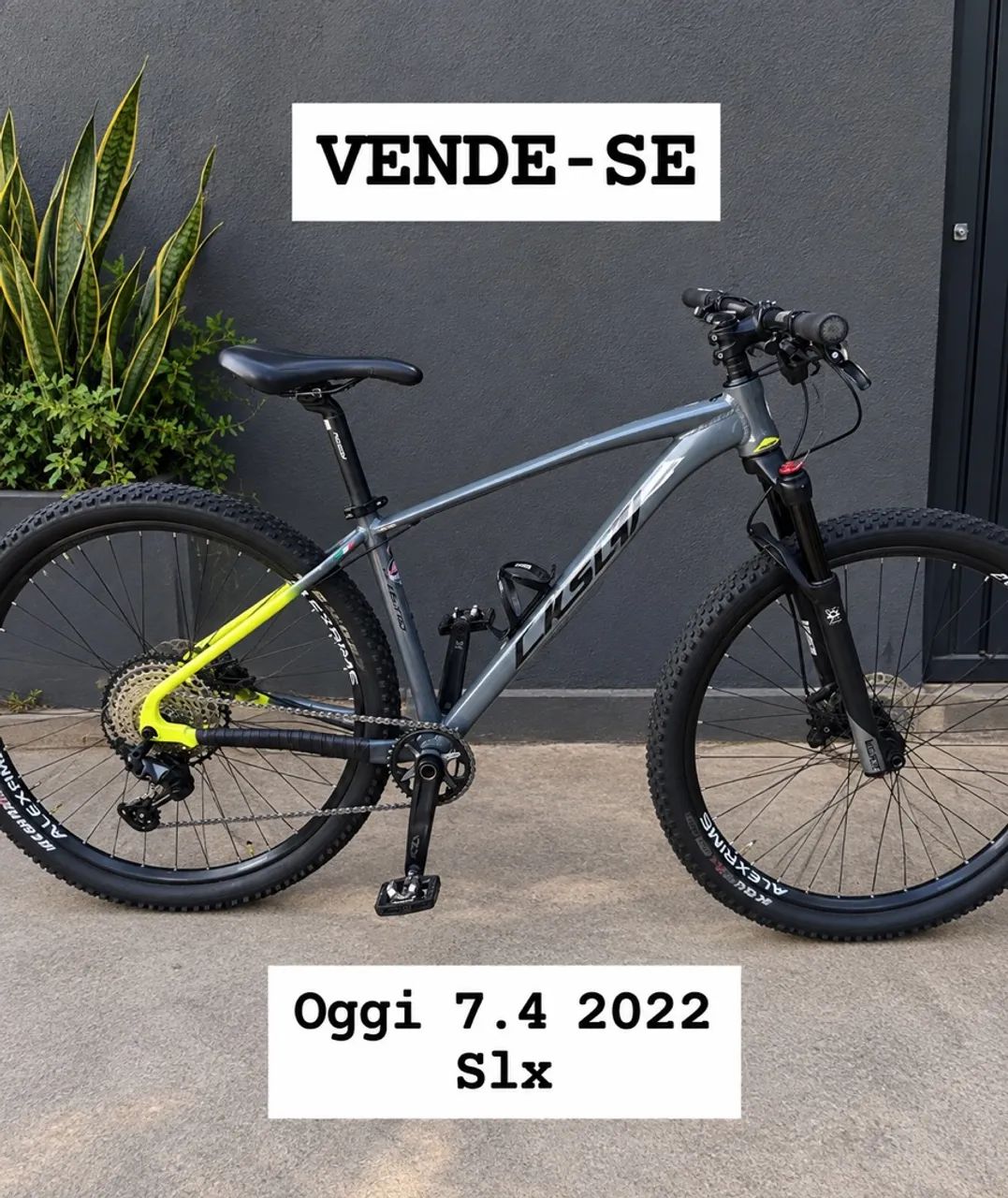 Bike oggi 7.4