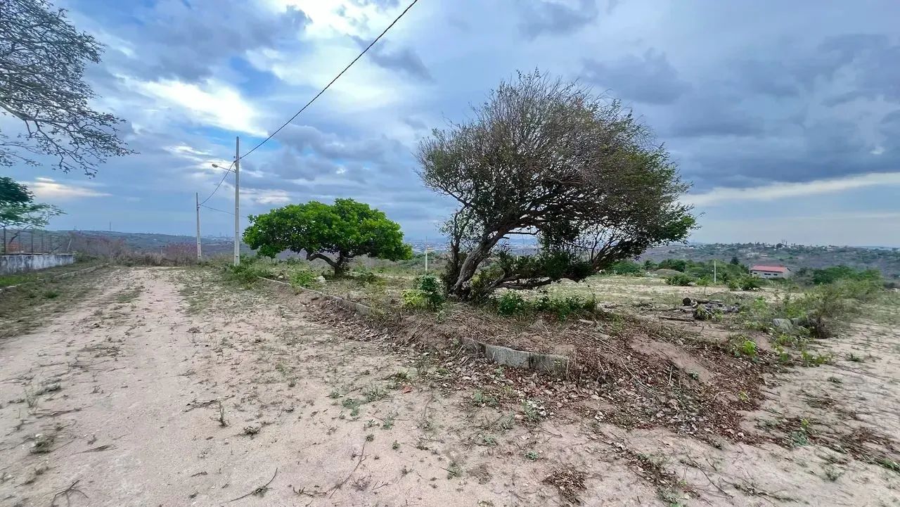 Mini granja - Foto 3