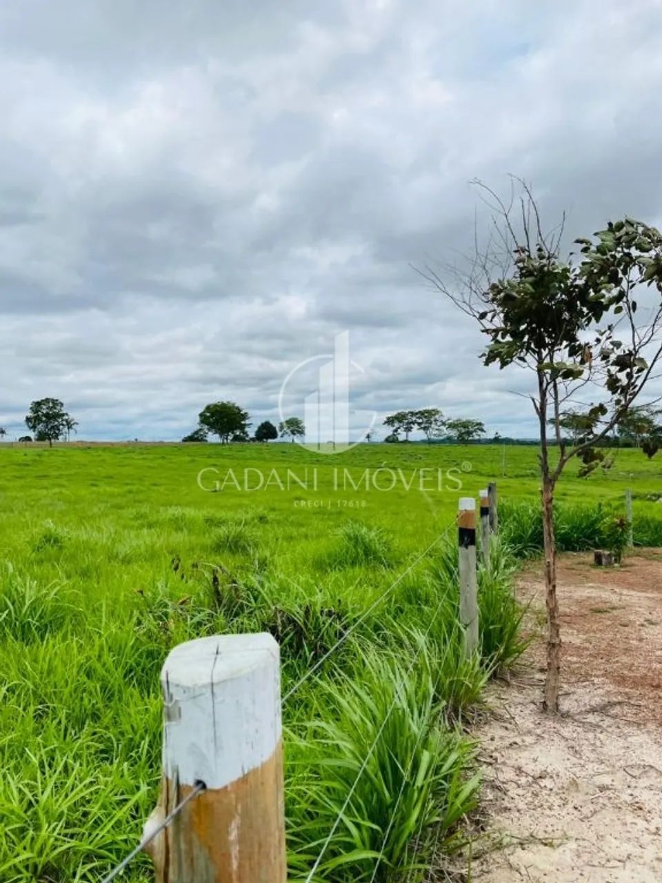 FAZENDA FORMADA a venda em COLÍDER/MT - Foto 2