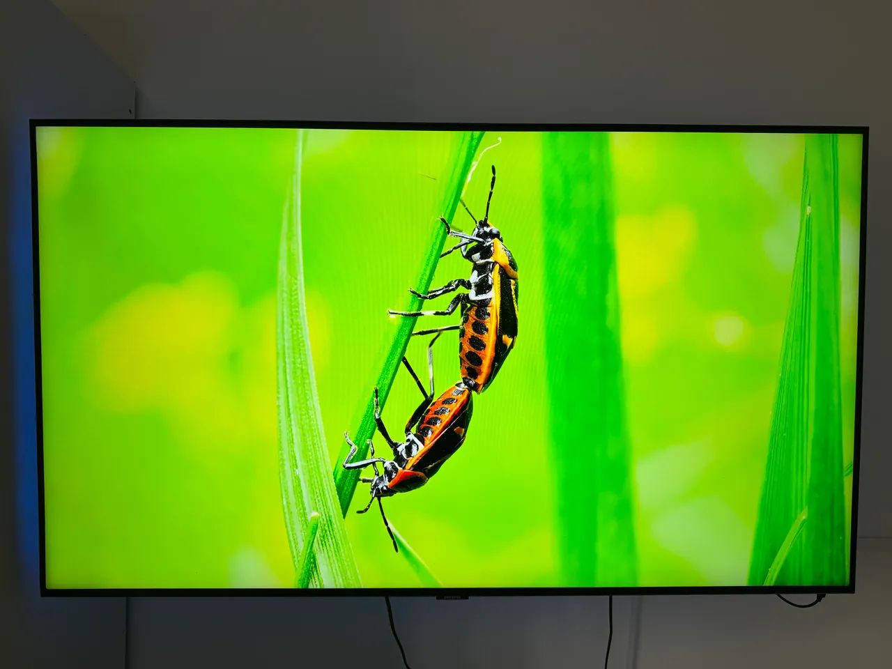 TV smart 50 Samsung semi nova 
