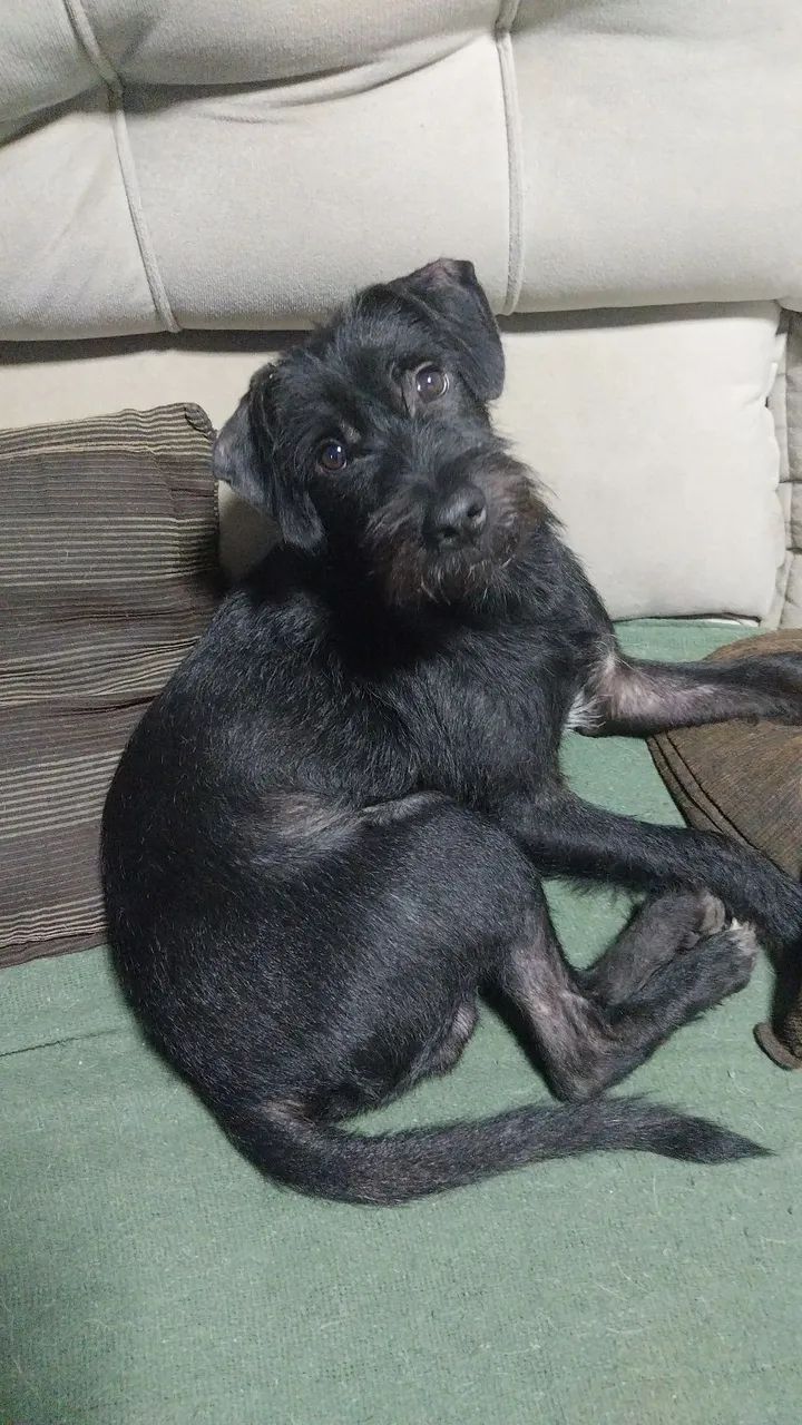 Para. Doacao