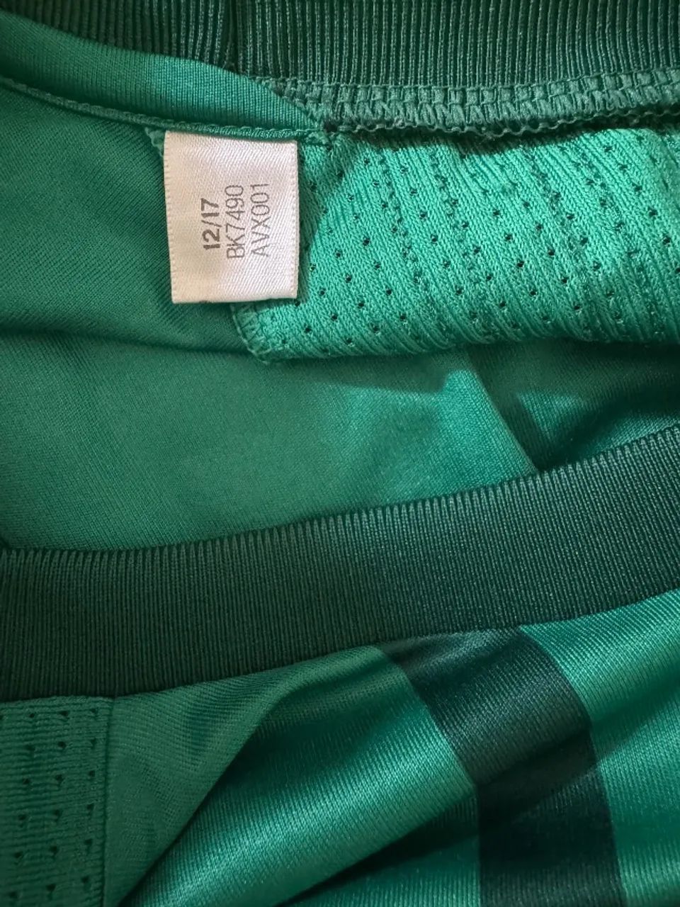 palmeiras 2017 - Foto 3