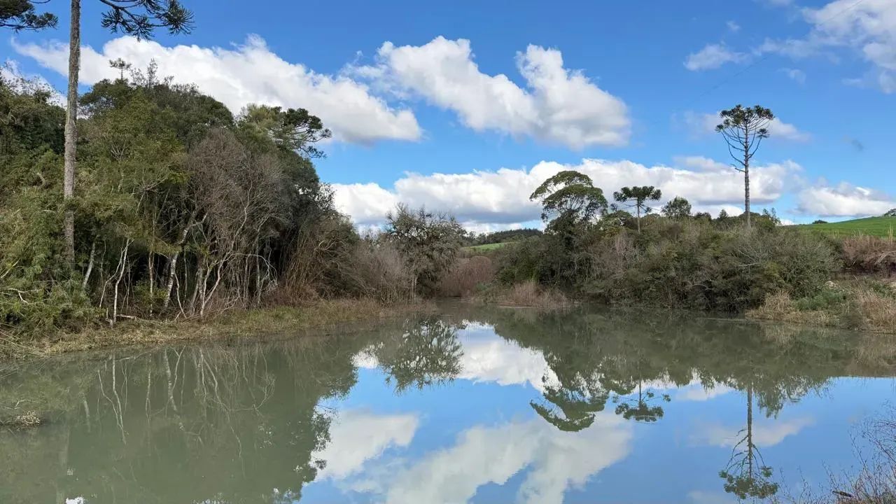 Propriedade Rural  45 Hectares | BOM RETIRO/SC - Foto 4