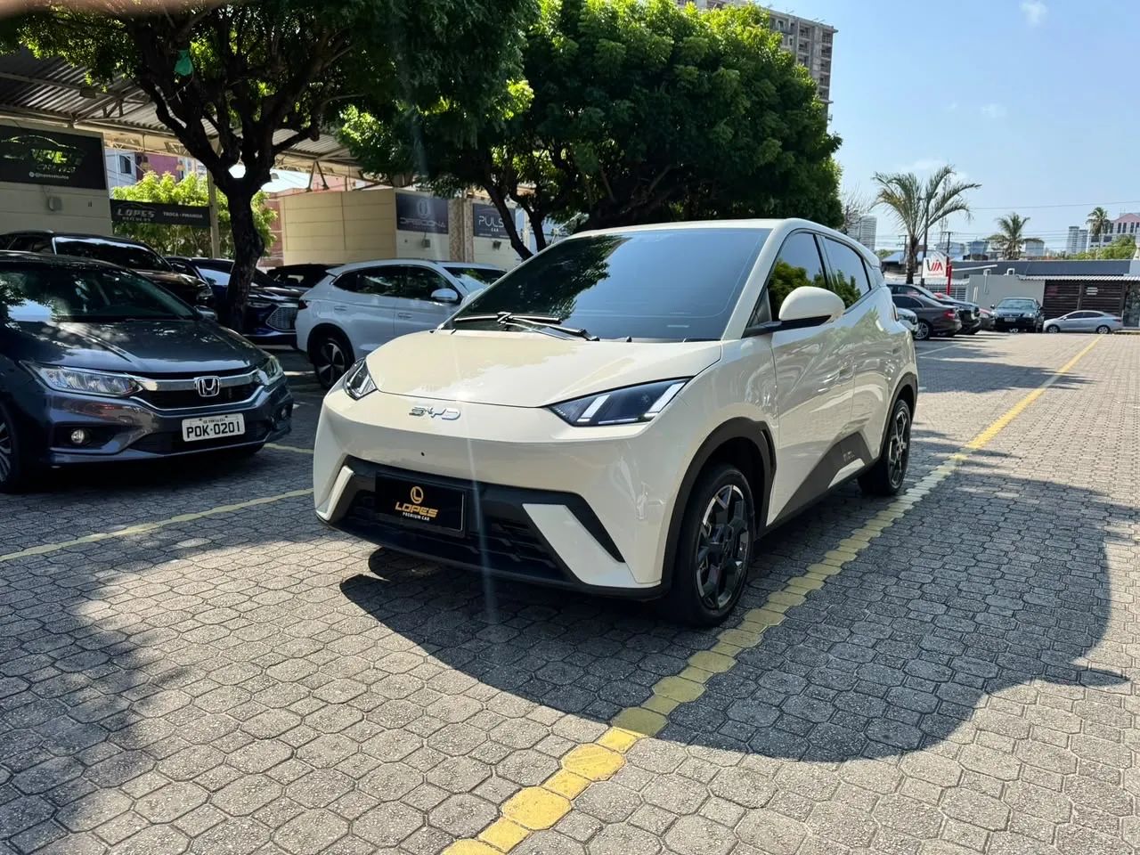 BYD Dolphin Mini (Elétrico) 2026 - Foto 3