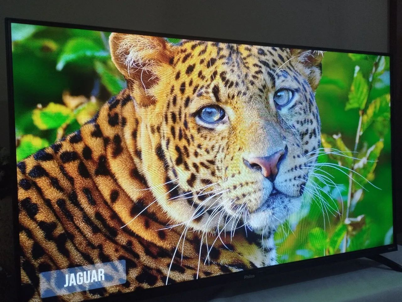 VENDO SMART TV 43 POLEGADAS FUNCIONANDO PERFEITAMENTE  - Foto 3