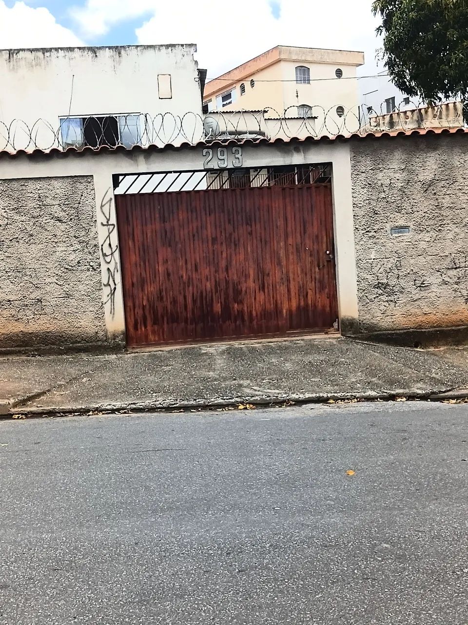 Gatinhos abandonados - Foto 4