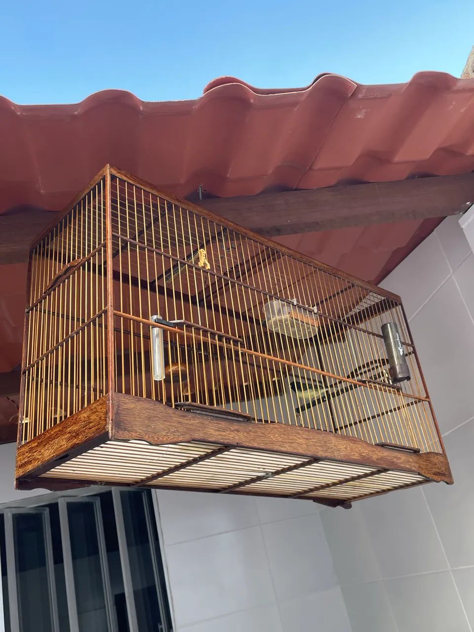 Voador Tuitui de luxo