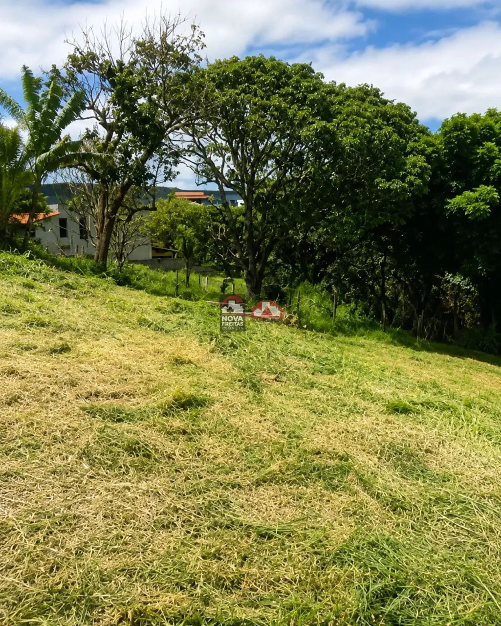 Terreno à venda em Paraibuna - Foto 5