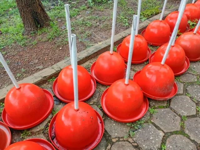 Comedouro e bebedouro - Foto 3