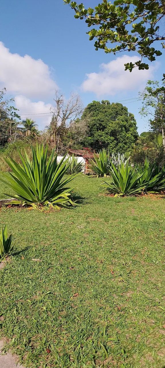 Sítio em itaborai  - Foto 5