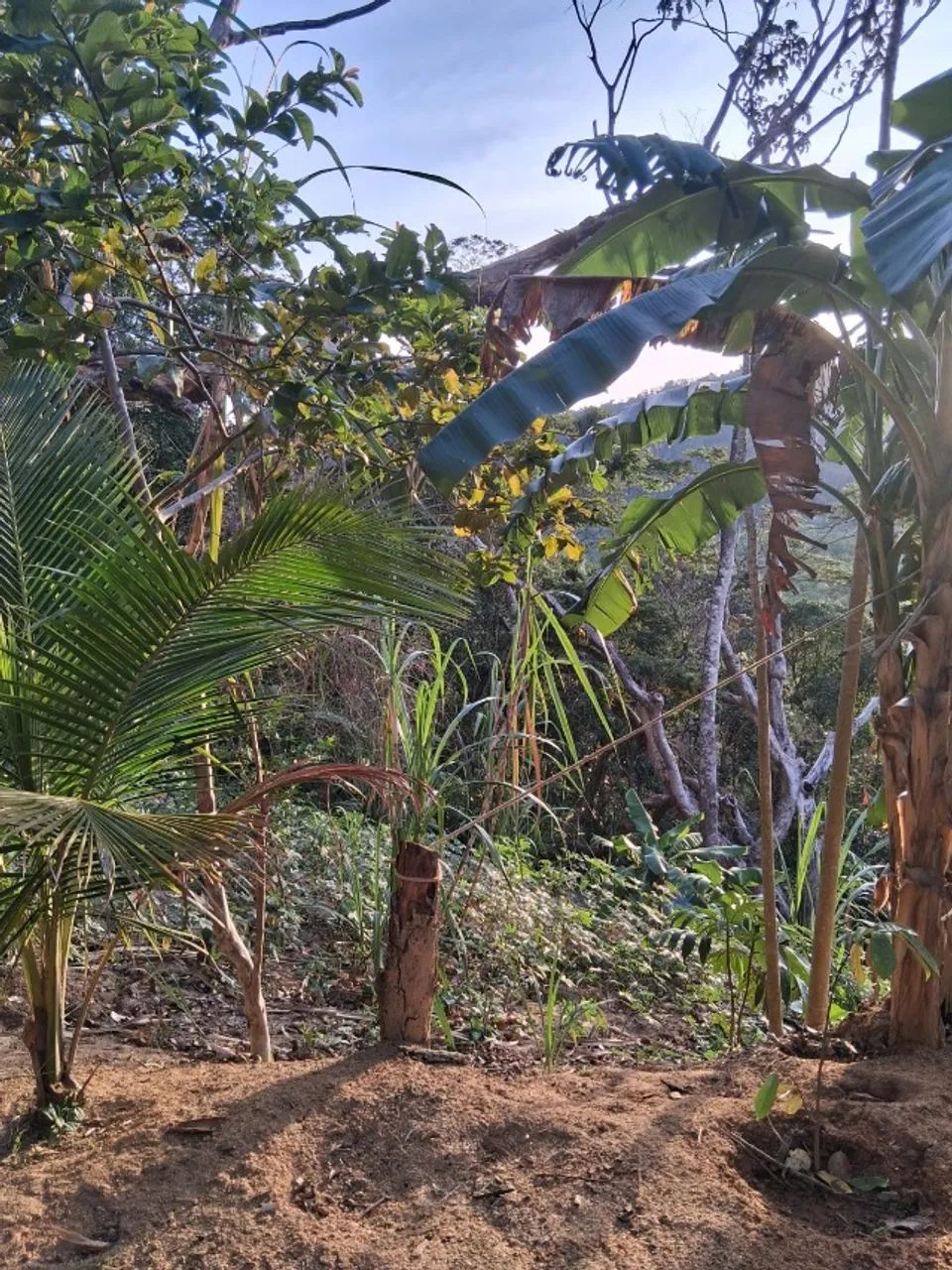 Oportunidade!!! Terreno 1200 m2 - Foto 2