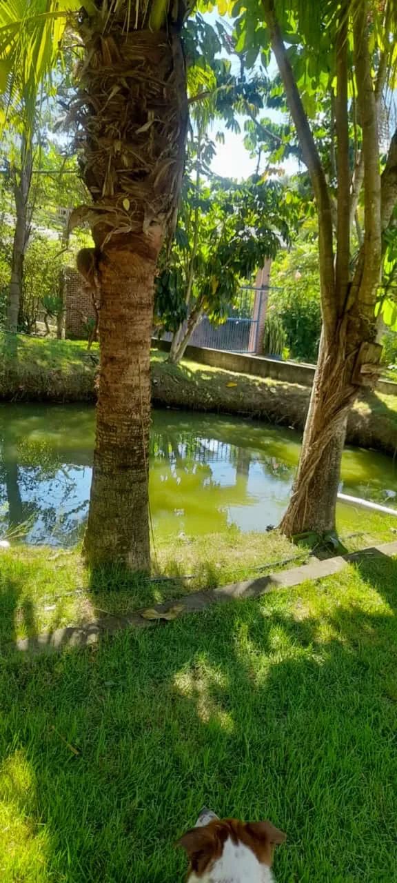 Chácara para Eventos e Confraternizações - São José dos Campos - Foto 4
