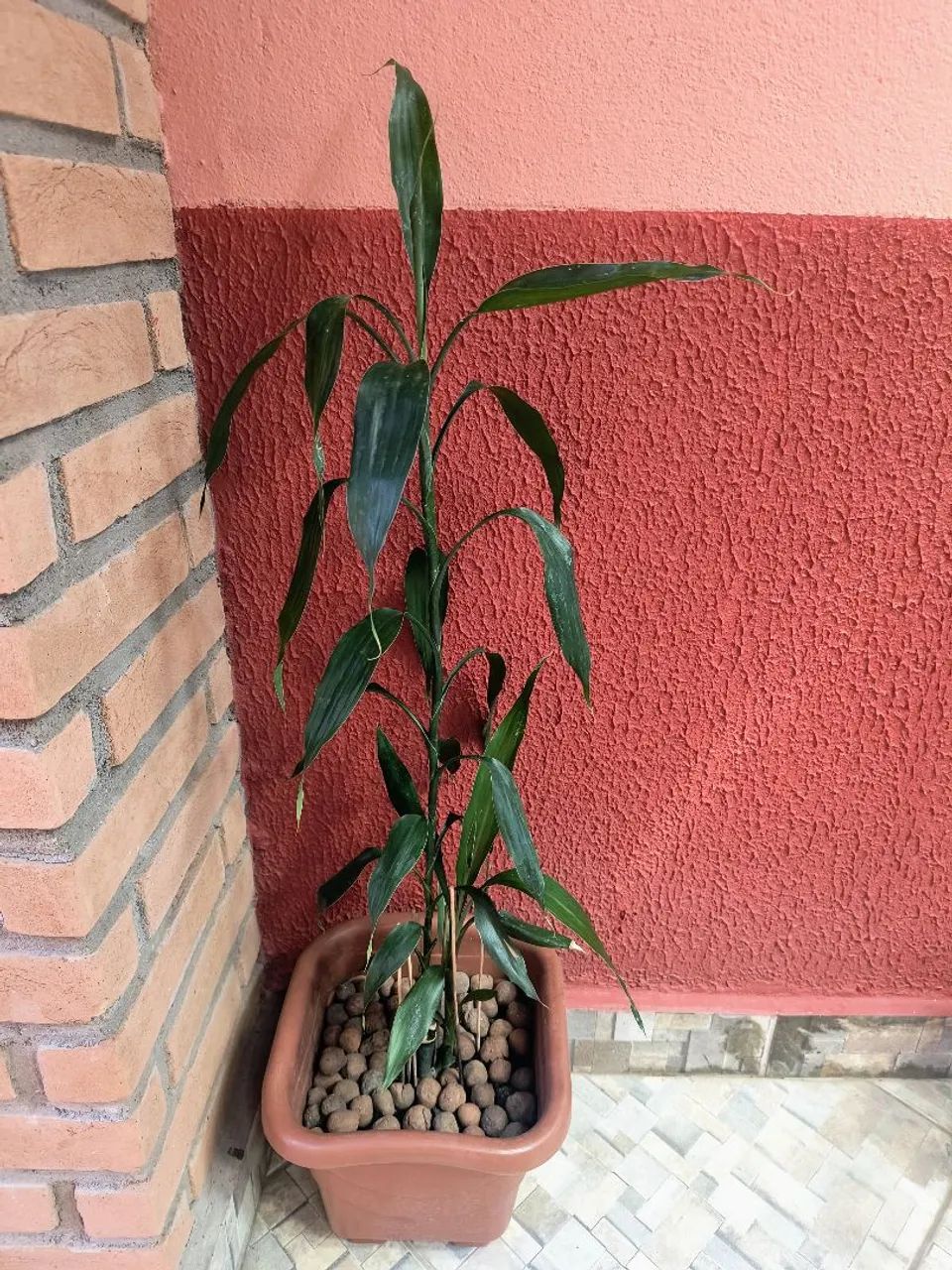 Vaso de bambu
