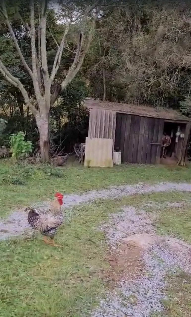Natureza, tranquilidade e qualidade de vida a apenas 100 km de Florianópolis - Foto 4