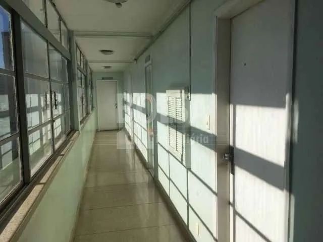ed Sao lucas - Foto 3