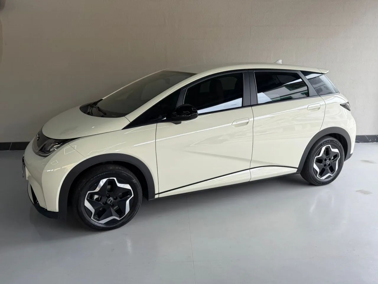 BYD Dolphin EV (Elétrico) 2026 - Foto 3