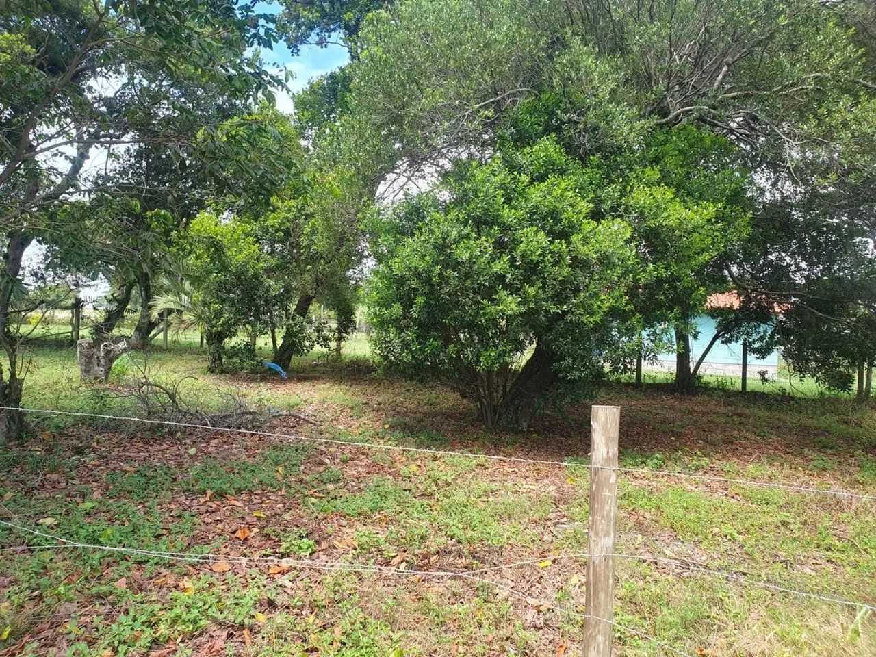Terreno plano em Imbituba - Foto 5