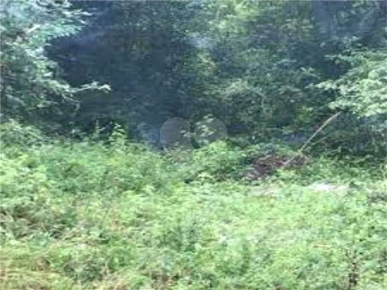 Terreno à venda em Barreiro - SP - Foto 2