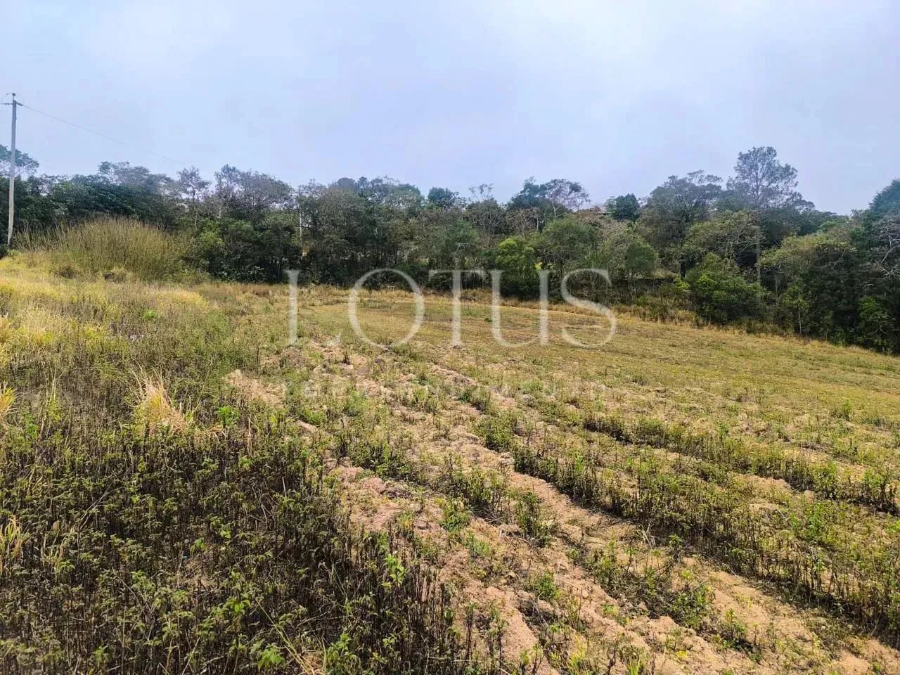 LOTES GRANDES À VENDA EM ATIBAIA - Foto 11
