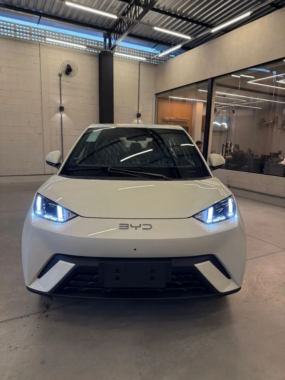 BYD Dolphin Mini (Elétrico) 2027