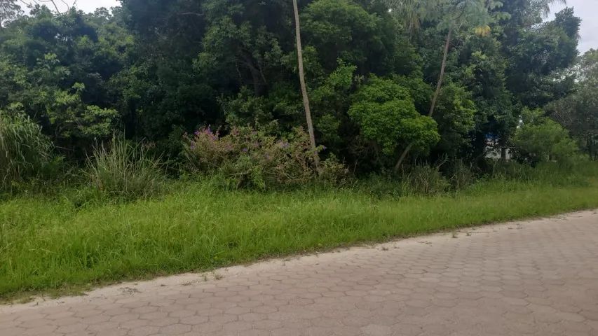 RARIDADE NO MARISCAL  - Foto 5