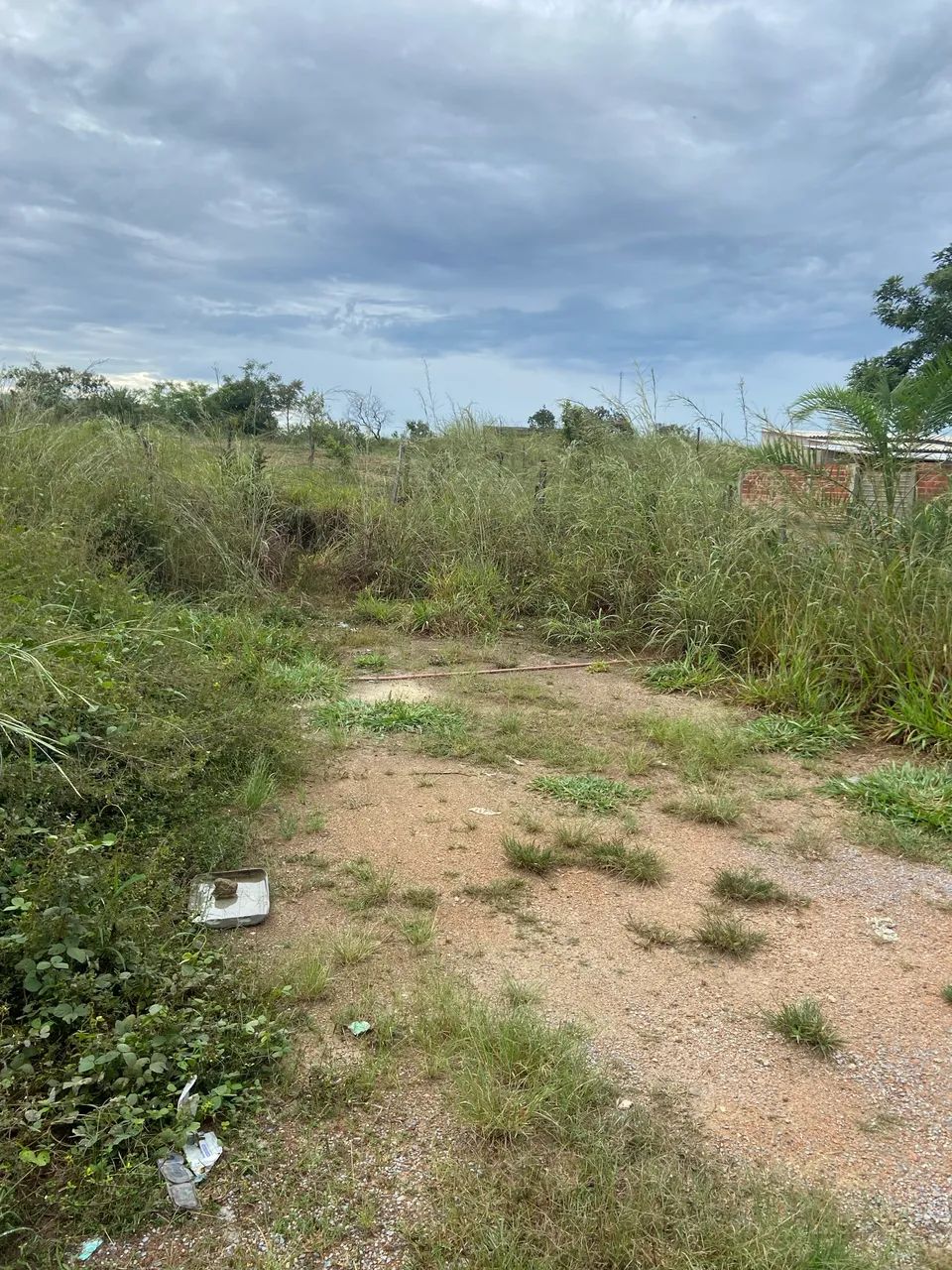 Foto - Brasília - Granja do Torto