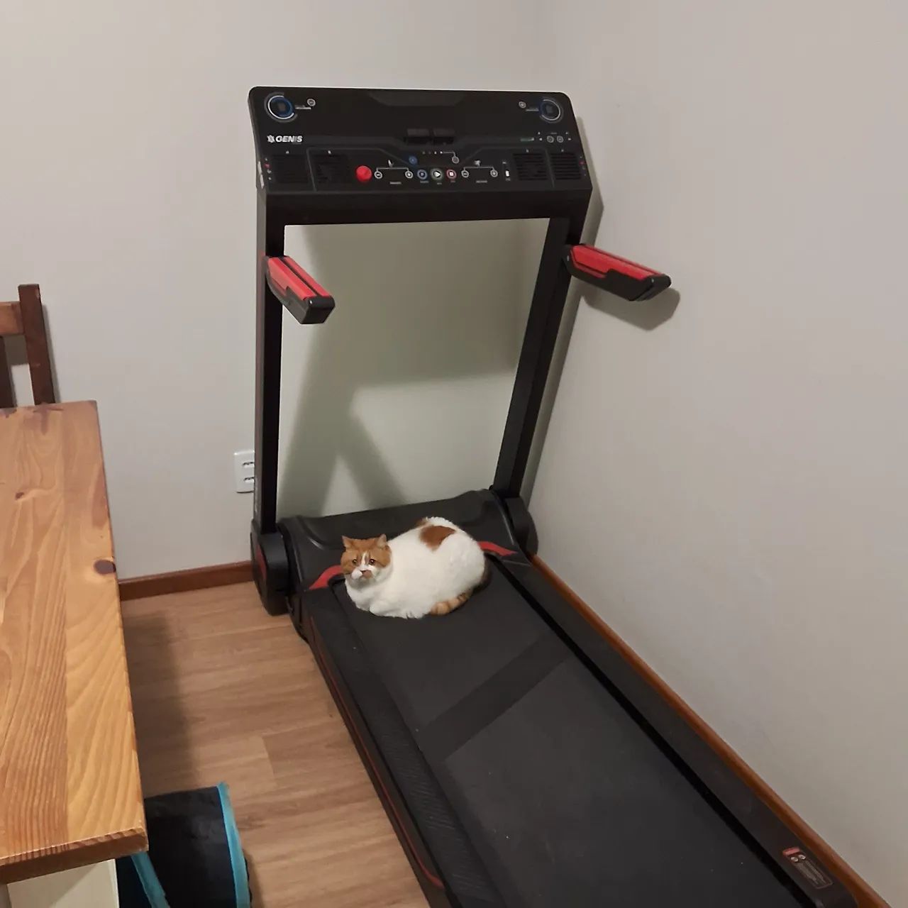 Esteira ergometrica