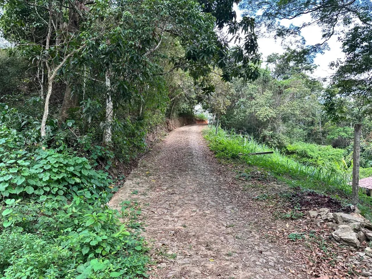 Lotes De 10X30 Na Serra De Pacoti, As Margens Da Ce 065, 3 Minutos Do Centro! Cód. KT58SI - Foto 11