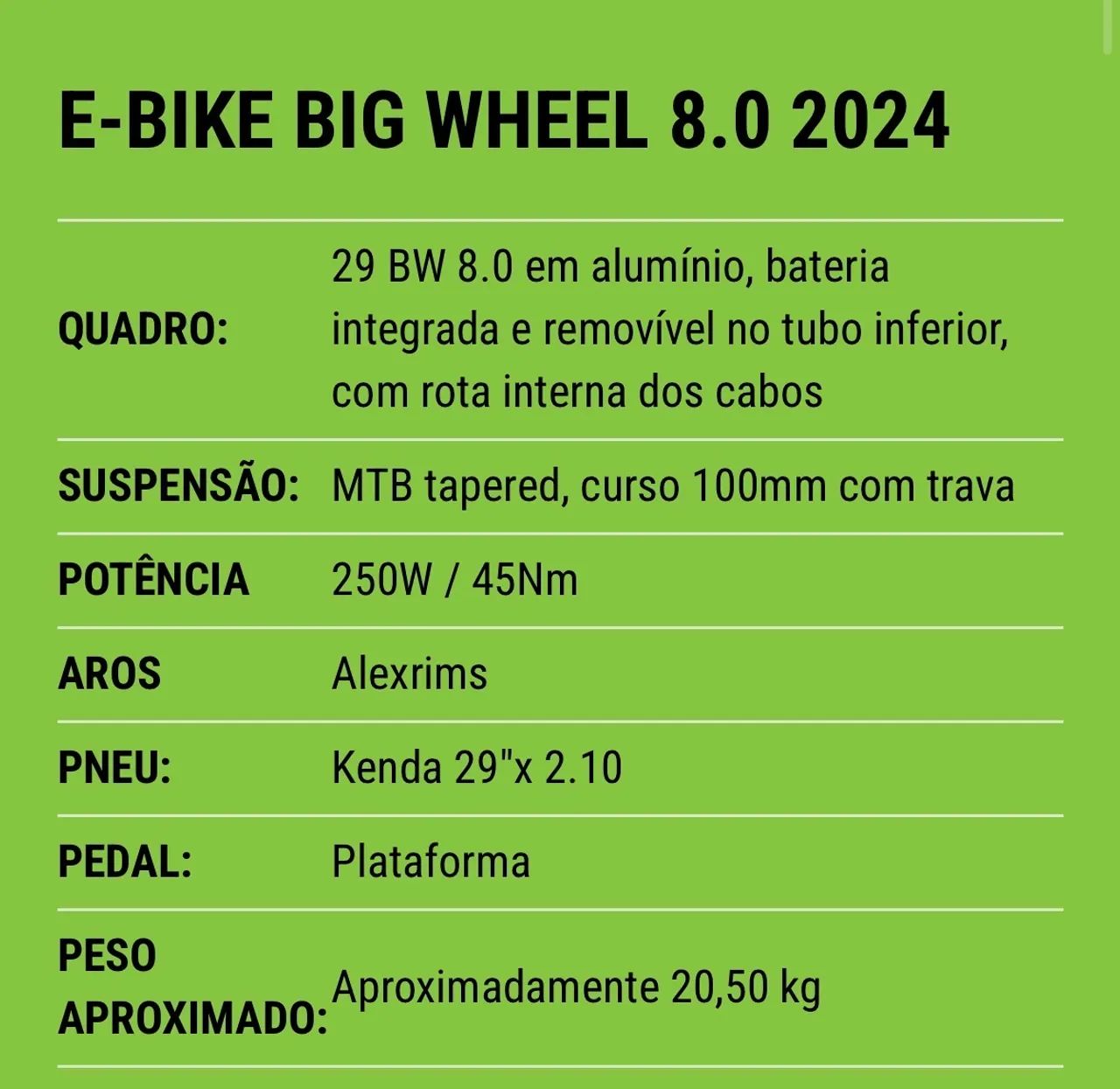 Bike Elétrica OGGI bw 8.0 2024 Semi-nova com acelerador - Foto 3
