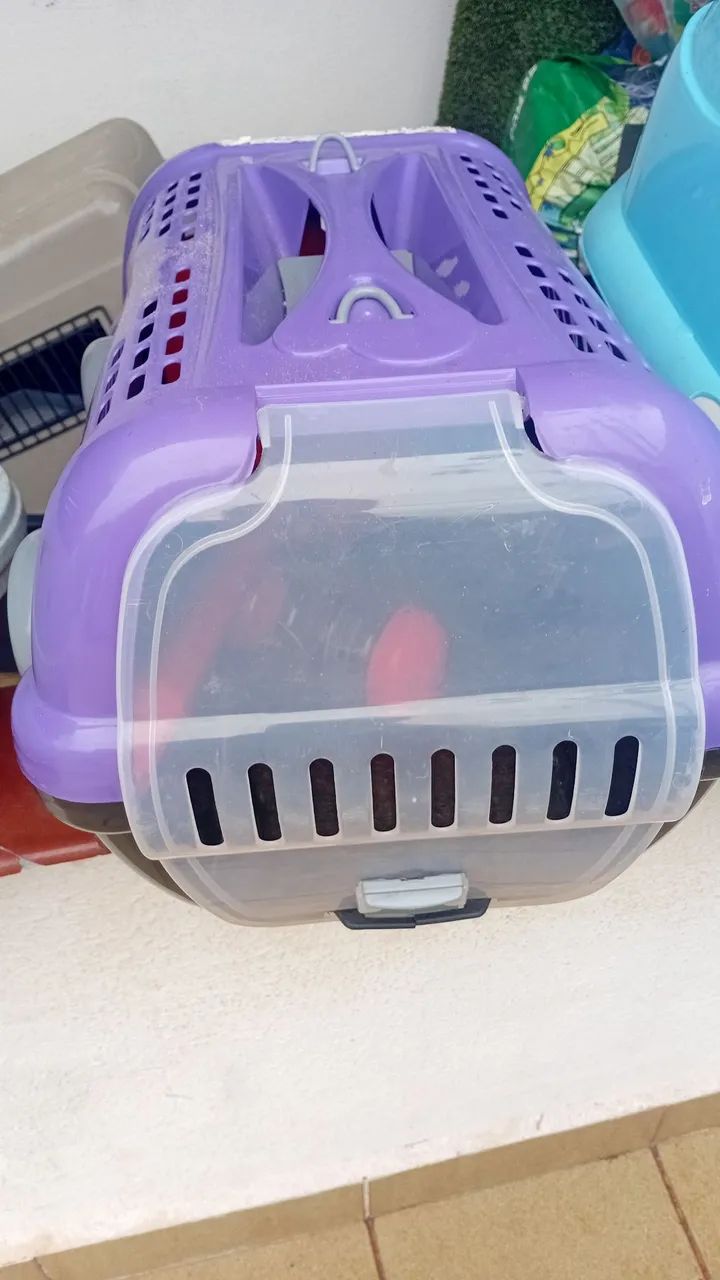 Cazinha de gato