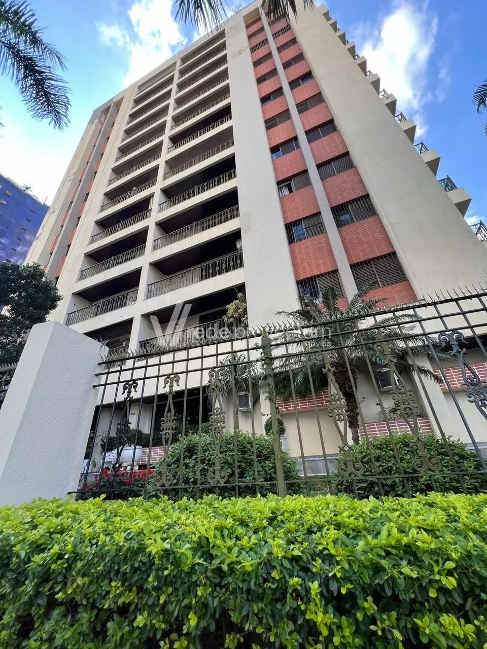 cobertura - Cambuí - Campinas
