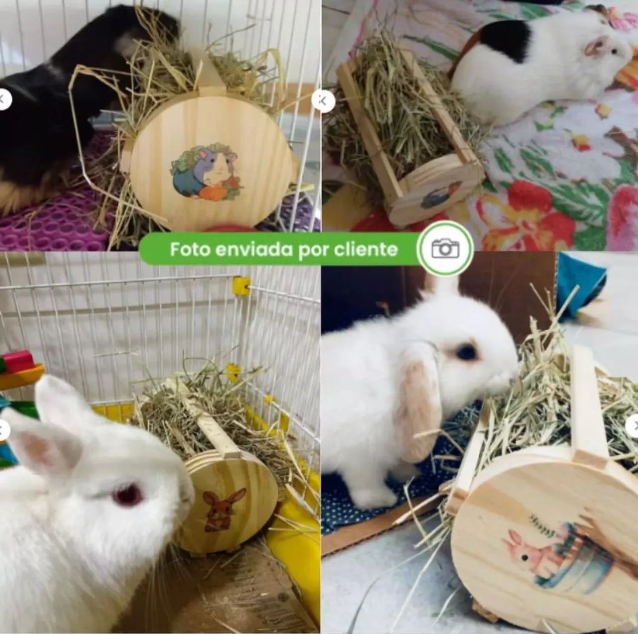 Porta Feno - Coelhos Porquinho da India Roedores