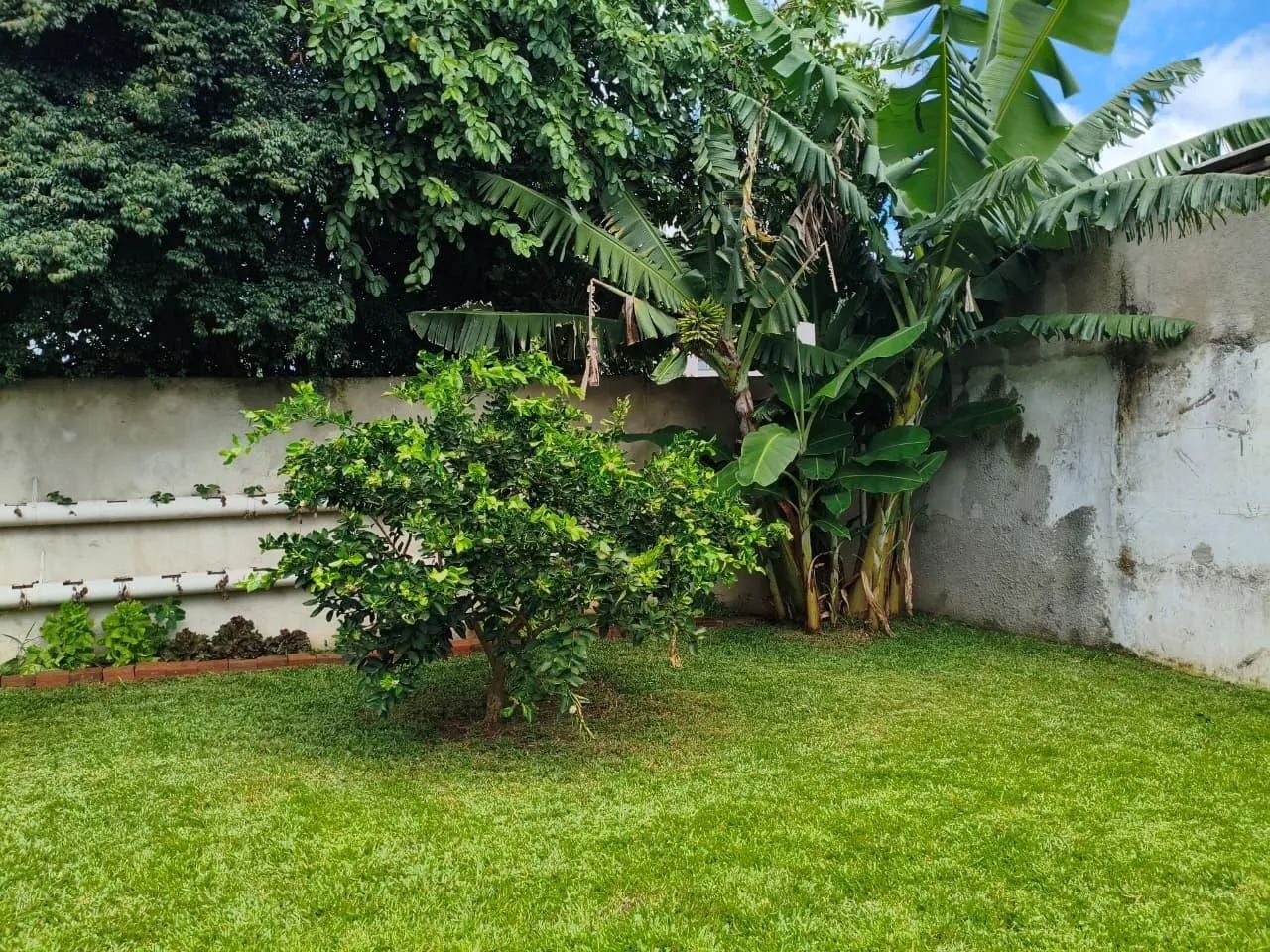 Casa ampla e documentada no Xaxim com 5 quartos, suíte e garagem para 6 carros - Foto 3