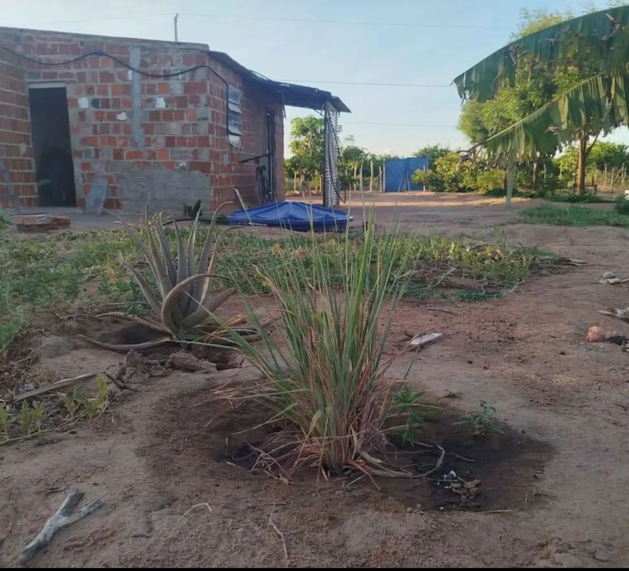 Chácara 20x85 no n2 - Foto 2