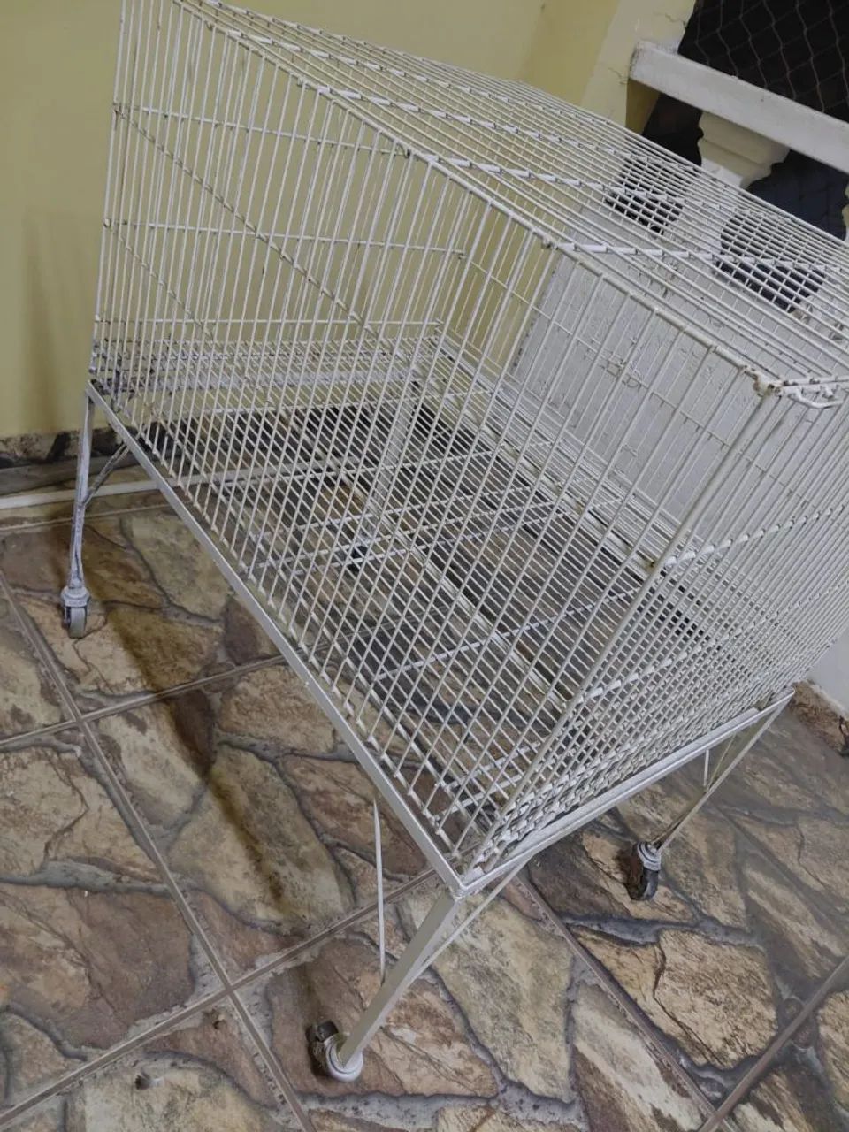 Gaiola coelho e porquinho da Índia 