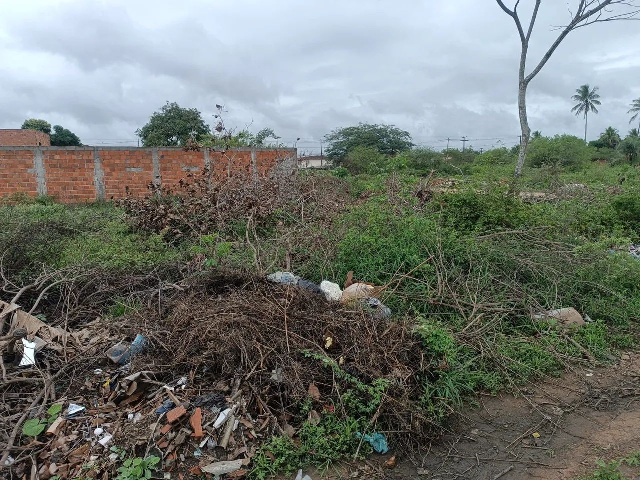 Vende-se terreno - Foto 3