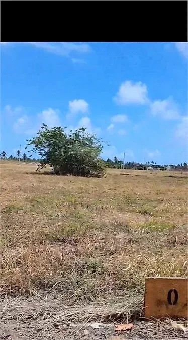 Terreno no Mar de Japaratinga - Centro - Foto 4