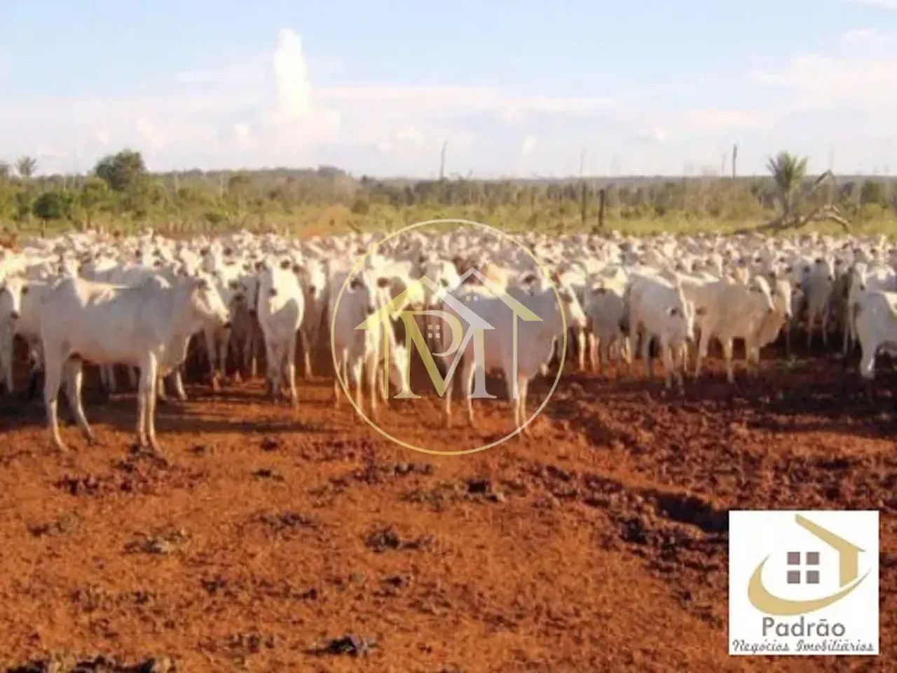 Área Rural à venda, , - AR0058.