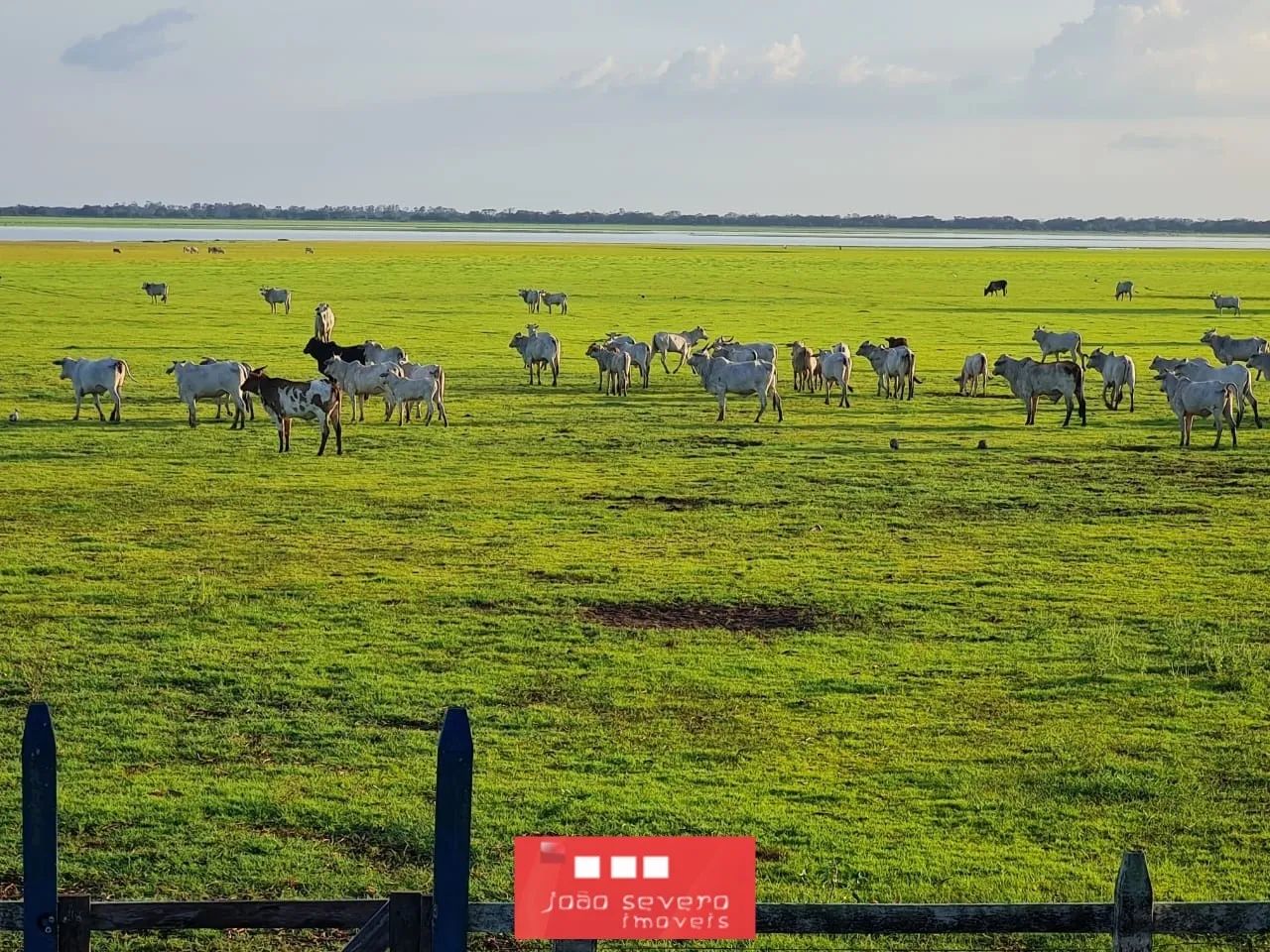 Fazenda para Venda em Alenquer - Foto 2