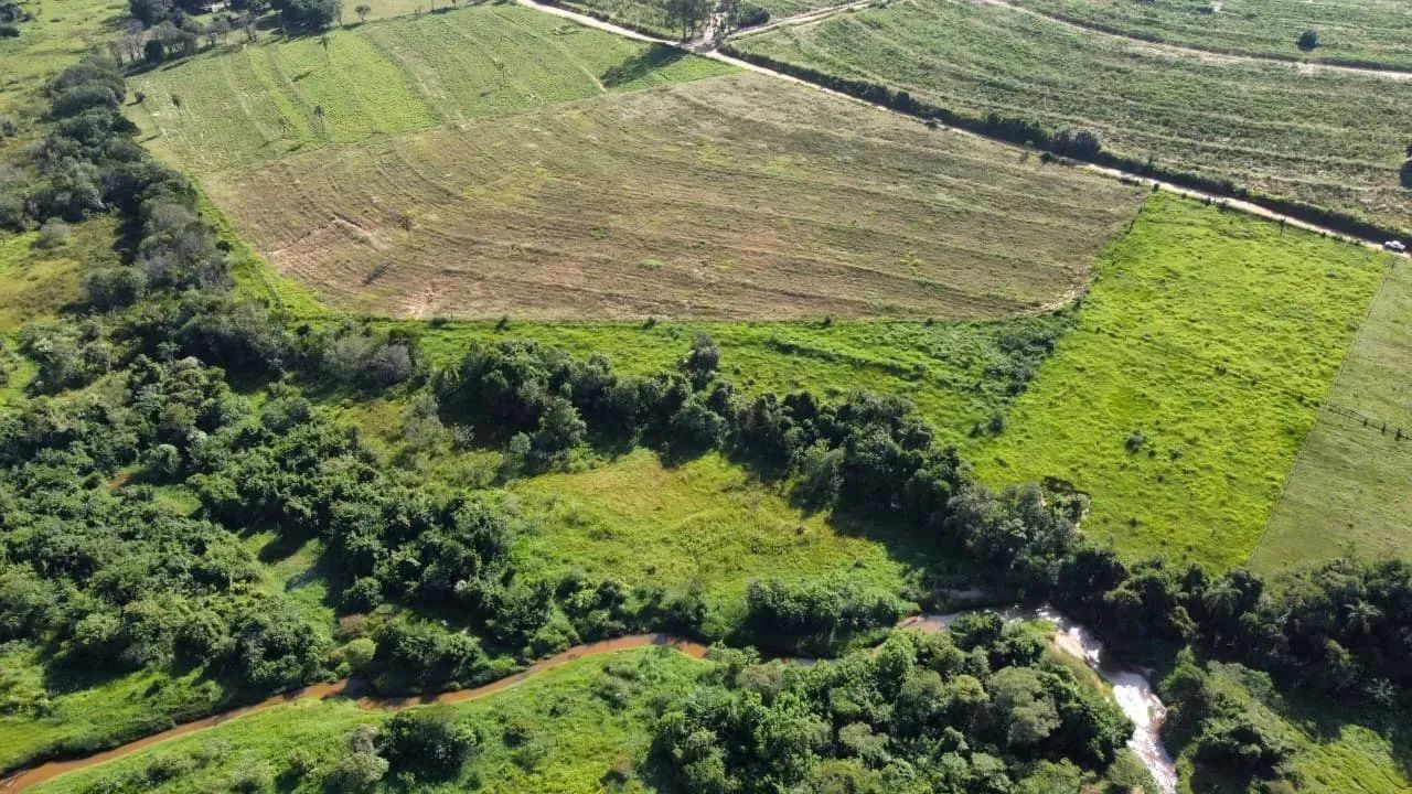 Sitio a venda Santa Maria da Serra SP - Foto 4