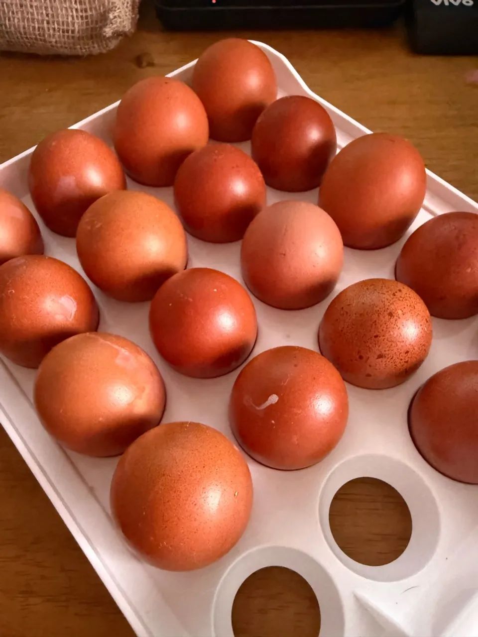 Ovos marans  - Foto 2