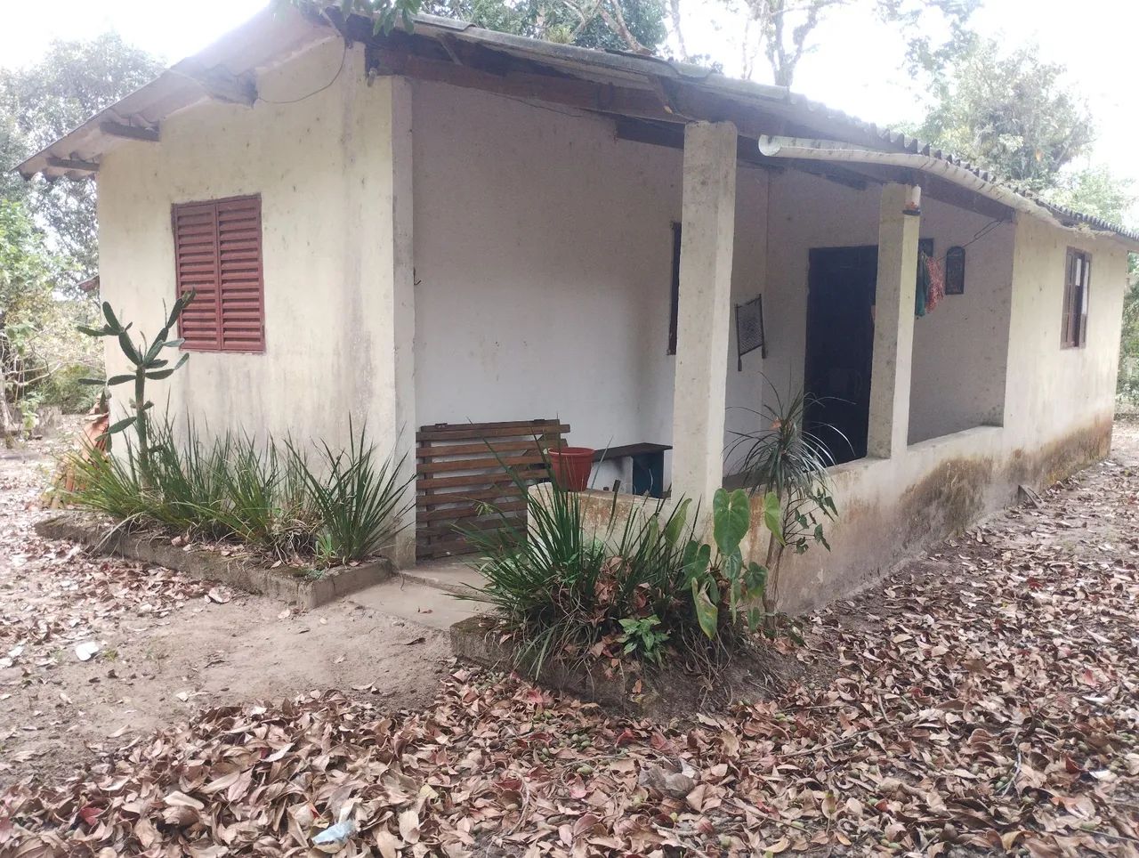 Foto - Peruíbe - Área Rural de Peruíbe
