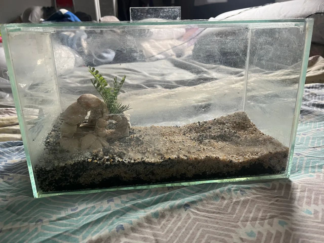 Aquário 10L + Kit aquarismo  - Foto 2